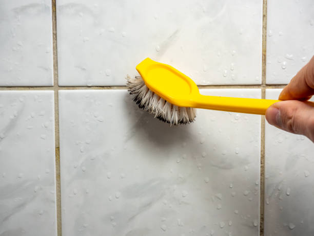 Best Water Damage Restoration  in Louisburg, NC